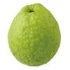 guava